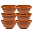 Kit 24 Vasos P Planta Cacto Suculenta Rosa Deserto Flores