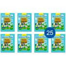 Kit 25 Livrinhos Arca de Noé Lembrancinha de Festa Sacolinha Aniversário Surpresa