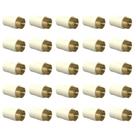 Kit 25 Unidades Conector 22mm x 3/4" CPVC Aquatherm Tigre Kit 25 Unidades Conector 22mm x 3/4" CPVC Aquatherm Tigre