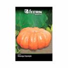 Kit 25PT Semente Moranga Exposicao 02 - Feltrin Kit 25PT Semente Moranga Exposicao 02 - Feltrin