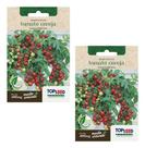 Kit 2pc Sementes Tomate Cereja Alta Germinação E Produção Horta Vasos