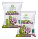 Kit 2u Substratos De 2kg Terra Cactos E Suculentas Adubada
