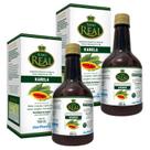 Kit 2un Sumo Real Amargo Suplemento Alimentar Líquido Colina