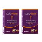 Kit 2x Calcivitam MDK Suplemento vitaminico e Mineral c/60 capsulas Calcio, Magnesio, Zinco