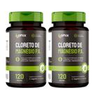 Kit 2x - Cloreto de Magnésio P.A. - 120 cápsulas - Omix