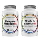 Kit 2x Cloreto de Magnésio PA 500mg 60 Cápsulas Flora Nativa