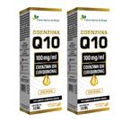 KIT 2X Coenzima Q10 Sublingual em gotas 30ml - Flora Nativa Sabor:Laranja