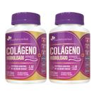 Kit 2x Colágeno Hidrolisado Verisol Vitaminas A C E Biotina Zinco Selênio 120 Caps Flora Nativa