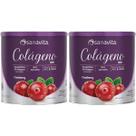 Kit 2X Colágeno Skin - 300g Cranberry - Sanavita