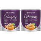 Kit 2X Colágeno Skin - 300g Tangerina - Sanavita
