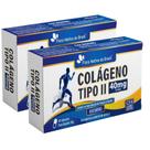 KIT 2X Colágeno Tipo 2 60 cápsulas - Flora Nativa