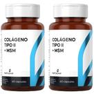 KIT 2X Colágeno Tipo 2 + MSM 60 capsulas - Natulha
