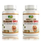 Kit 2x Colágeno Tipo 2 Não Desnaturado 240 Cáps Kit C/ 2 Unidade Sabor Natural