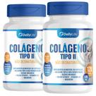 Kit 2x Colageno Tipo 2 Não Desnaturado 590mg 120 Capsulas Suplemento Alimentar com Calcio Magnesio Vitamina K2 Silicio Organico