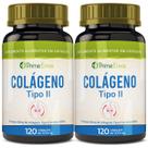 Kit 2x Colágeno Tipo 2 Natural - 120 Cápsulas