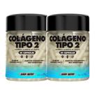 Kit 2x Colágeno Tipo 2 pote 60 Cápsulas cada , com Vitaminas C E e D3 Zero Lactose Glúten e Açúcar