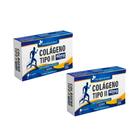 Kit 2x Colágeno Tipo II 40mg 2x60 cps Flora Nativa Kit 2x Colágeno Tipo II 40mg 2x60 cps Flora Nativa
