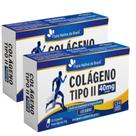 KIT 2X Colágeno Tipo II 40mg 30 Cápsulas - Flora Nativa