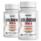 Kit 2x Colágeno Tipo II Não Desnaturado 500mg Vitamina K2 D3 e Silício 120 Cápsulas para Adultos Sem Gluten FisioCult