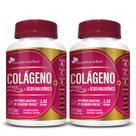 Kit 2x Colageno Verisol + Acido Hialuronico 750mg 120 Capsulas Cada - Flora Nativa