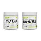 Kit 2x Creatina Zero Carbo Sabor Limão 300g FNB