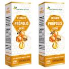 KIT 2X Extrato de Própolis em gotas 30ml - Flora Nativa