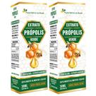 KIT 2X Extrato de Própolis Verde em Gotas 30ml - Flora Nativa