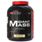 Kit 2x Giant Mass 3kg Bodybuilders Kit 2x Giant Mass 3kg Bodybuilders