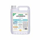 Kit 2x: Lava Roupas Super Concentrado Biodegradável Bioz 5l Kit 2x: Lava Roupas Super Concentrado Biodegradável Bioz 5l