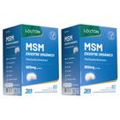 KIT 2X MSM (Enxofre Orgânico) Metil Sulfonil Metano 60 comprimidos - Lauton