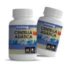 Kit 2x Potes Centella Asiática Pura Gotu Kola em Cápsulas 500mg Kit 2x Potes Centella Asiática Pura Gotu Kola em Cápsulas 500mg