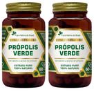 KIT 2X Própolis Verde Extrato Seco 60 cápsulas - Flora Nativa