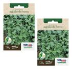 Kit 2x Sementes Agrião Da Terra Topseed Horta Alta Qualidade Kit 2x Sementes Agrião Da Terra Topseed Horta Alta Qualidade