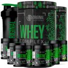 Kit 2x Suplemento em pó Whey Protein Complex + 2x Bcaa + 2x Glutamina + 2x Creatina + Coqueteira - Original Nutrition - Combo Hipertrofia