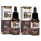 Kit 2x Vitamina B12 Metilcobalamina em Gotas Sabor Frutas Vermelhas 30ml Melfort