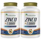 KIT 2X Zinco + Cobre Quelato 60 cápsulas - Flora Nativa
