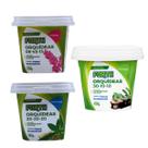Kit 3 Adubo Manutenção Floração Crescimento Forth 100g