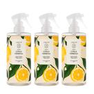 Kit 3 Água Perfumada Limão Citrus Verbena Gerânio Lenvie 500ml