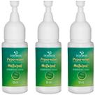 Kit 3 Aromatizador Bucal Óleo Essencial Hortela Dokmos