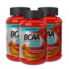 Kit 3 BCAA Maxx 2800 700mg 120 Cápsulas Maxinutri Kit 3 BCAA Maxx 2800 700mg 120 Cápsulas Maxinutri