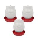 Kit 3 Bebedouro Automático Rosca 2 Litros Galinha e Aves
