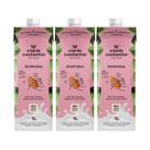 Kit 3 bebida vegetal plant based amendoa 1l natural a tal da castanha