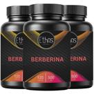 Kit 3 Ber berina 120 Capsulas 500mg Ethos Nutrition