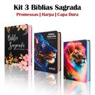 Kit 3 Biblias Sagrada Letra Gigante - Capa Dura Leão - Palavras de Jesus em Vermelho - C/ Harpa - REI DAS BIBLIAS
