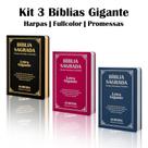 Kit 3 Biblias Sagrada Letra Gigante - Palavras de Jesus em Vermelho - C/ Harpa