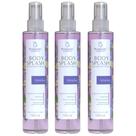 Kit 3 Body Splash Colônia Ameixa 130Ml - Bio Instinto Kit 3 Body Splash Colônia Ameixa 130Ml - Bio Instinto