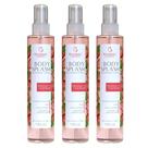 Kit 3 Body Splash Morango Com Champagne 130Ml - Bio Instinto