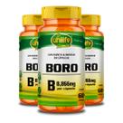 Kit 3 Boro B Unilife 60 Cápsulas 500mg