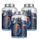 Kit 3 Brain Up Am/Pm Nootrópico Cerebral Sem Cafeína TrueSource