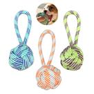 Kit 3 Brinquedo Interativo Mordedor de Corda Pet Cachorro Cães Colorido